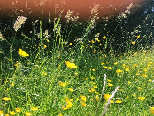 Processed with VSCO with c1 preset